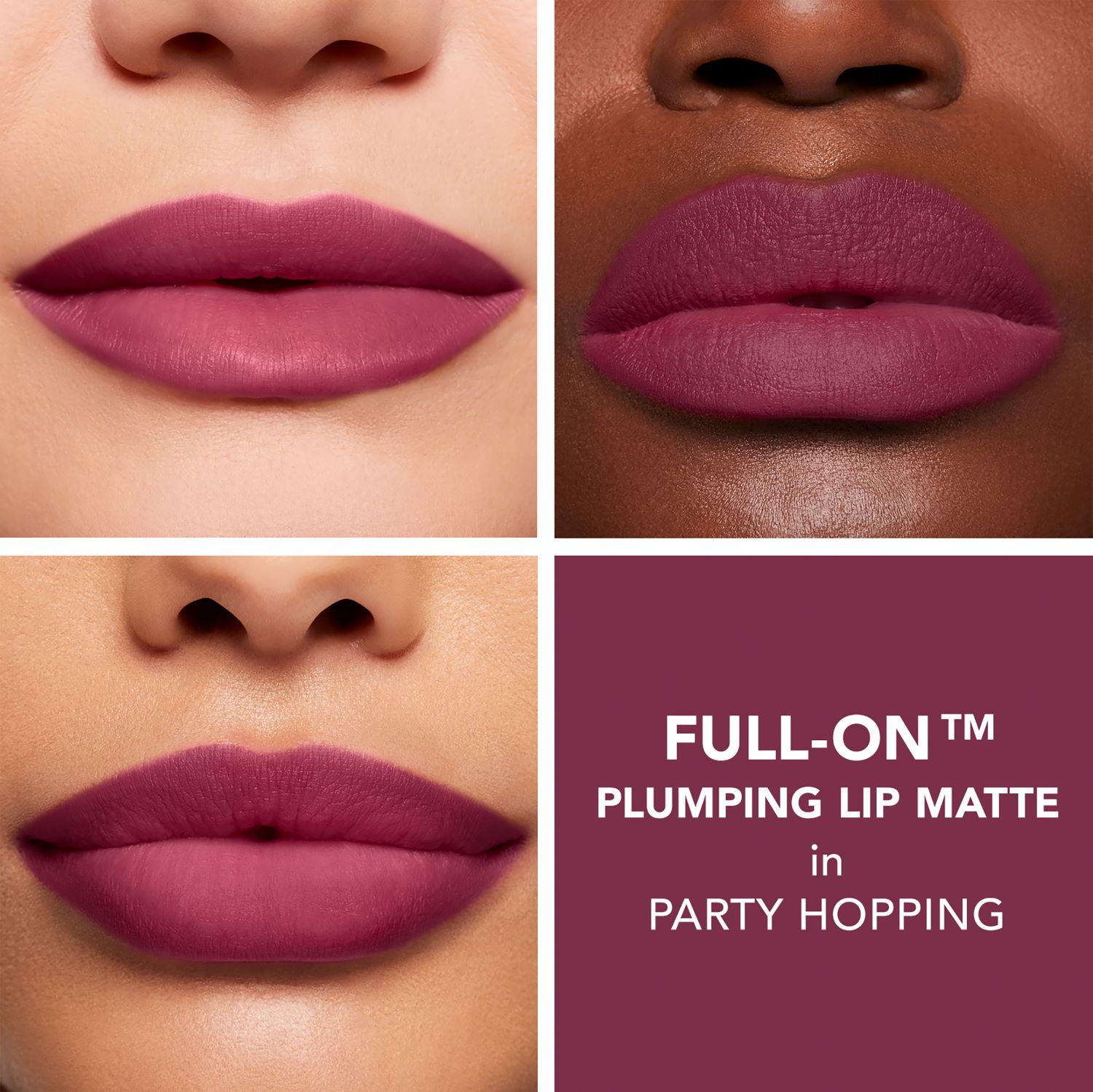 FULL-ON™ MATTE (LABIAL LÍQUIDO MATE)